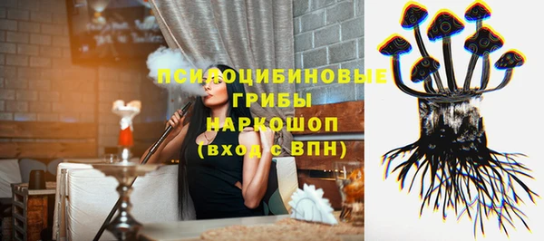 крисы Абдулино