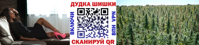 купить   Питкяранта  Конопля VHQ 
